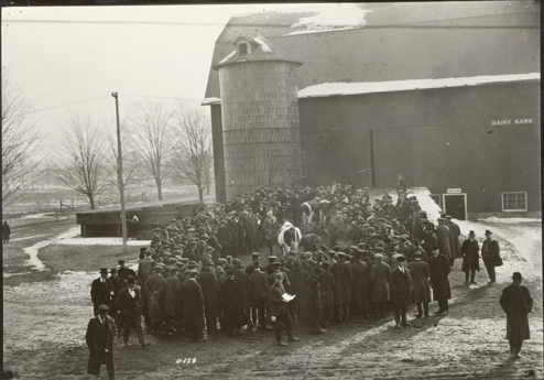 Men gather around cows outside the Dairy Barn, date unknown