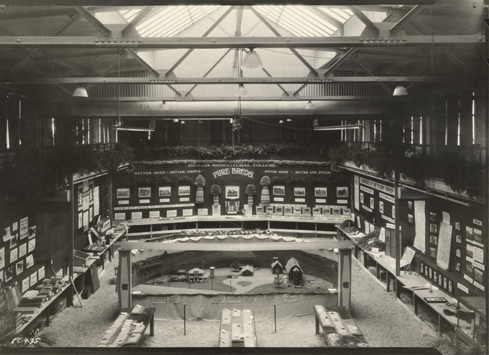 Aerial view of farmers week, date unknown