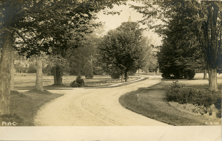 A campus road, date unknown