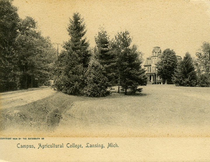 A view of campus, 1904