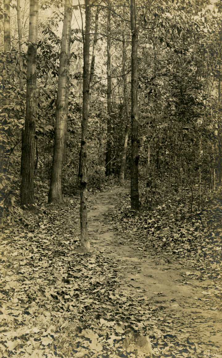 Arboretum, date unknown
