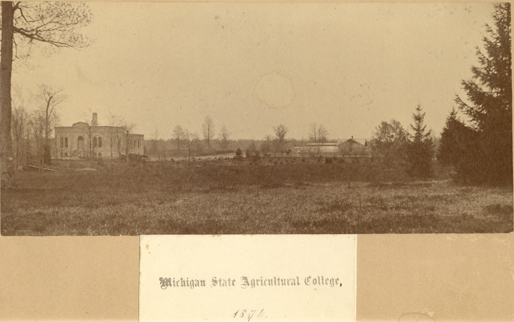 The Chemical Laboratory and the Greenhouse, 1874