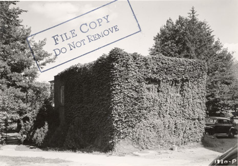 Entomology Lab covered in a leafy vine, 1941