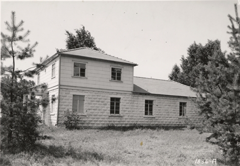 The campus Apiary surrounded by pines, date unknown