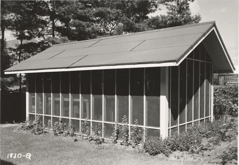 The Insectory, date unknown