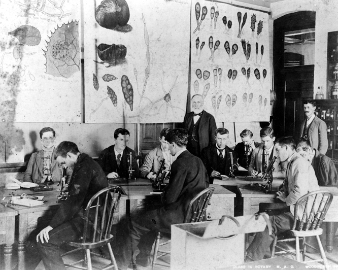 Professor Beal's botany class uses microscopes, date unknown