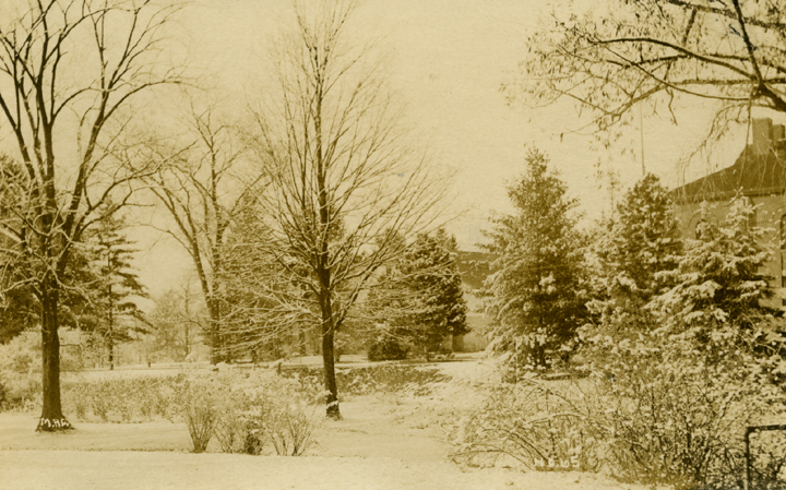 Campus in winter, 1914