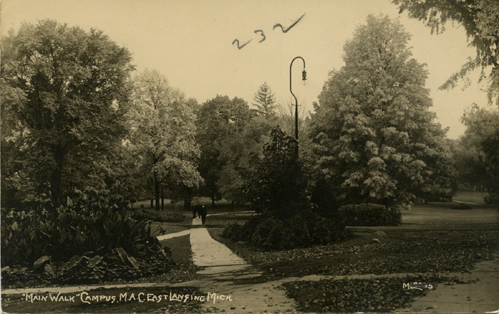 Main walk on campus, date unknown