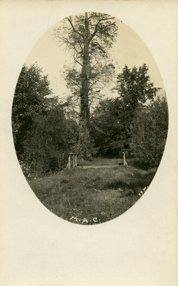 Campus Bridge, date unknown