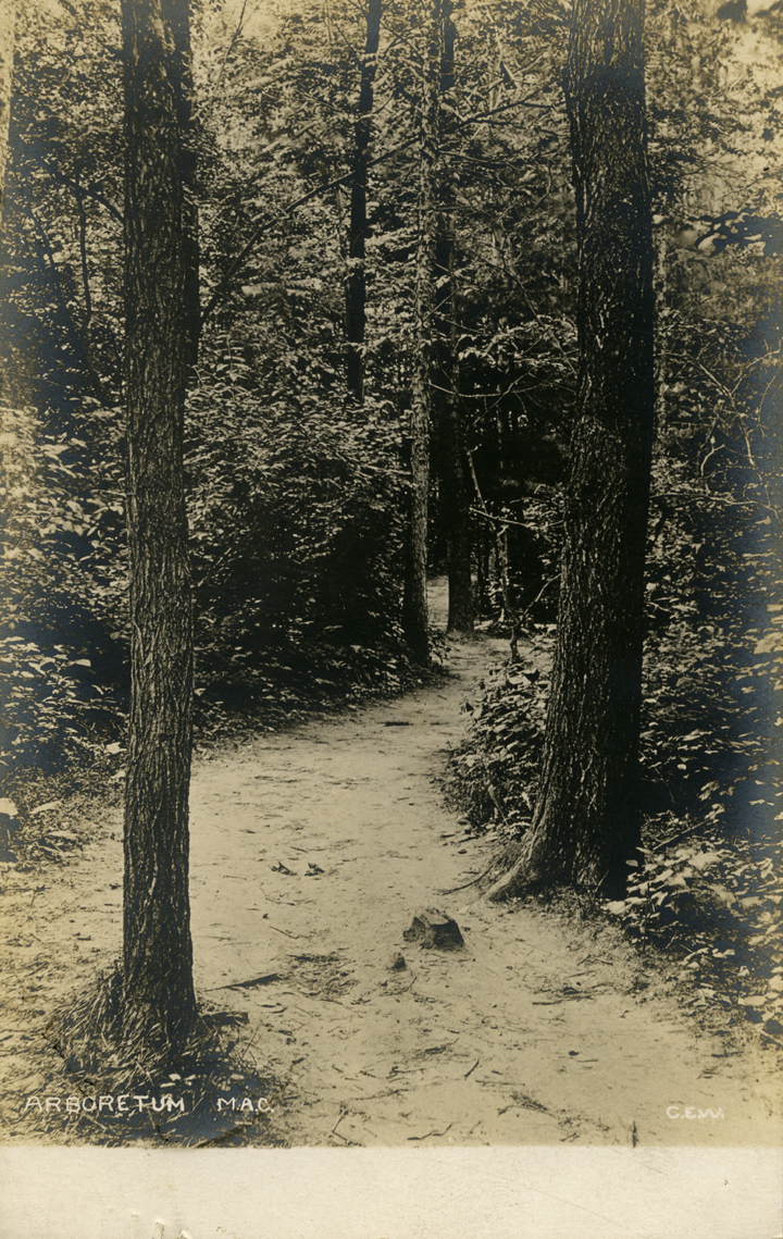 The Arboretum, 1907