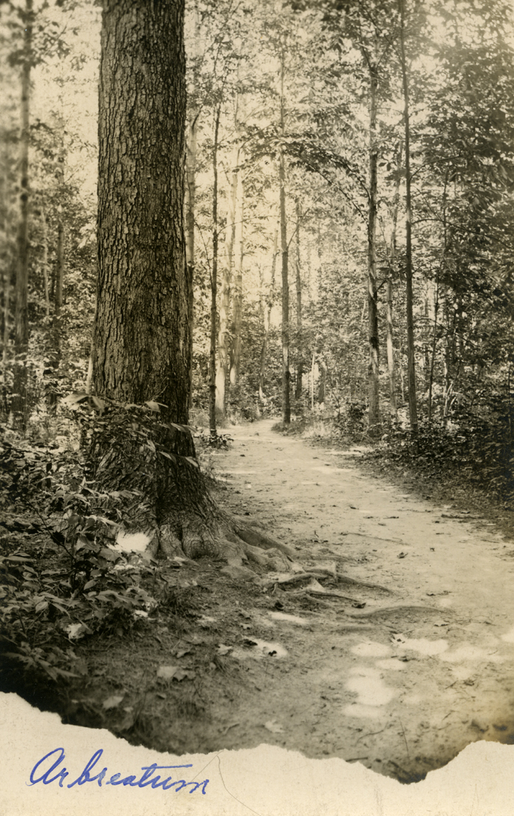 The Arboretum, date unknown