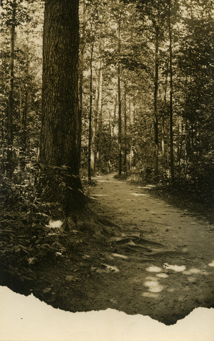 The Arboretum, date unknown