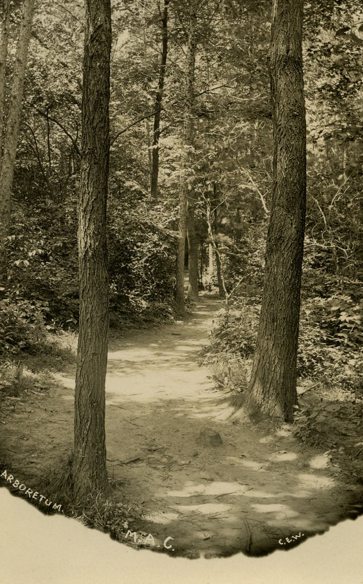 The Arboretum, date unknown