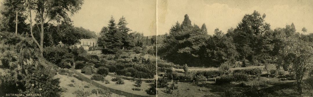 The Botanical Garden, 1909