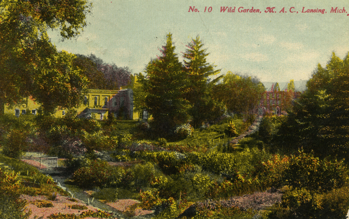 Beal Botanical Garden, 1910