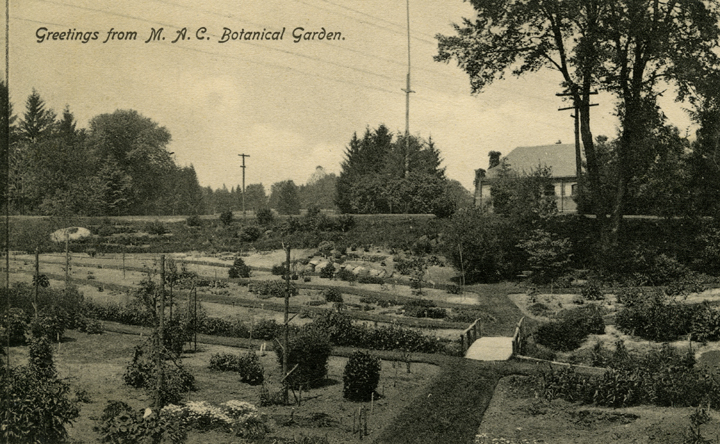 Beal Botanical Garden, date unknown