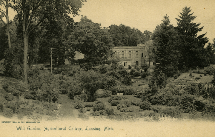 Beal Botanical Garden, 1904