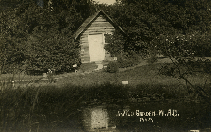 Log Cabin in the Beal Botanical Garden, date unknown