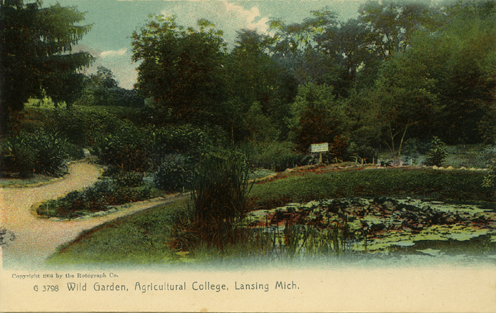Beal Botanical Garden, 1904