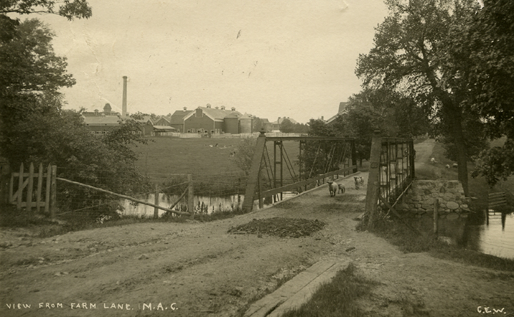 Animals on Farm Lane, 1912