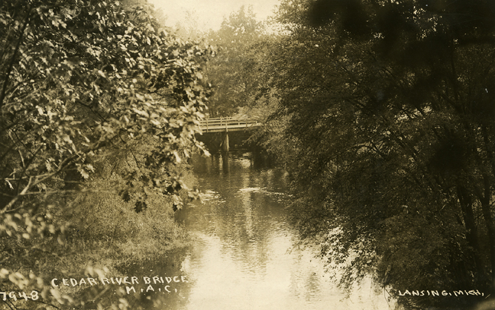 Cedar River Bridge, 1911