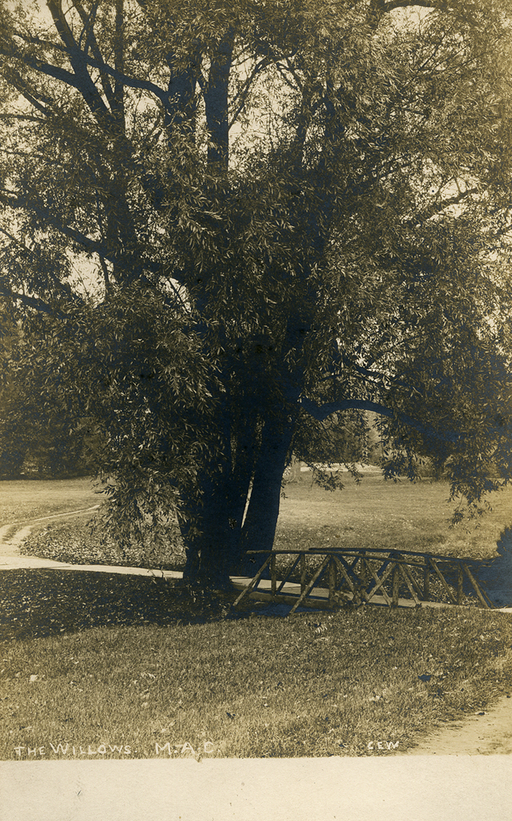 Bridge under a willow tree, date unknown