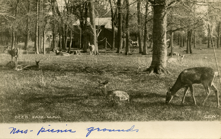 Deer Park, date unknown