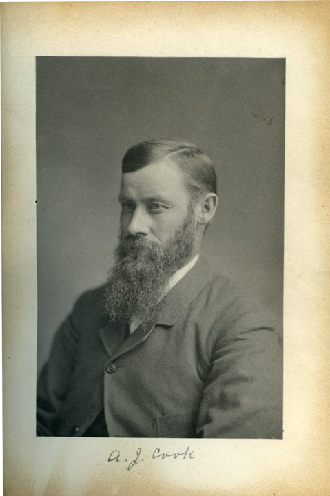 Albert J. Cook, 1886