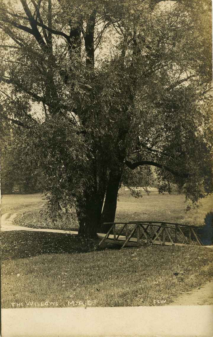 The Willows, date unknown