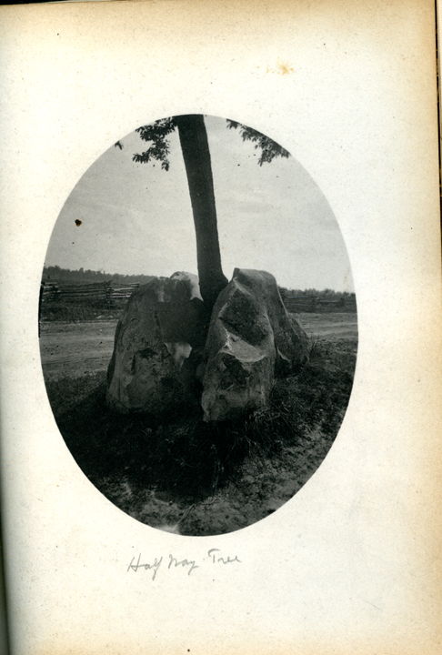 M.A.C. Half-Way Tree, 1886