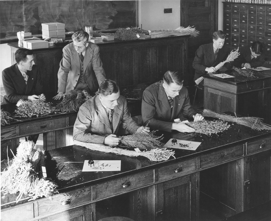Crop Class, 1946
