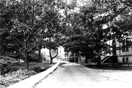 Copy of a photograph looking east at campus from the viaduct, 1895