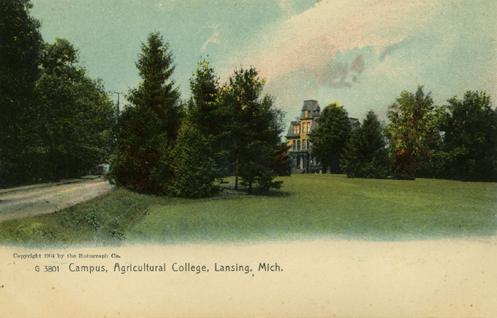 A View of Campus, 1904
