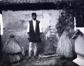 Man tending beehives, date unknown