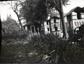 Small house structures in yard, date unknown