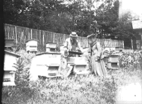 Man and woman with beehives, date unknown