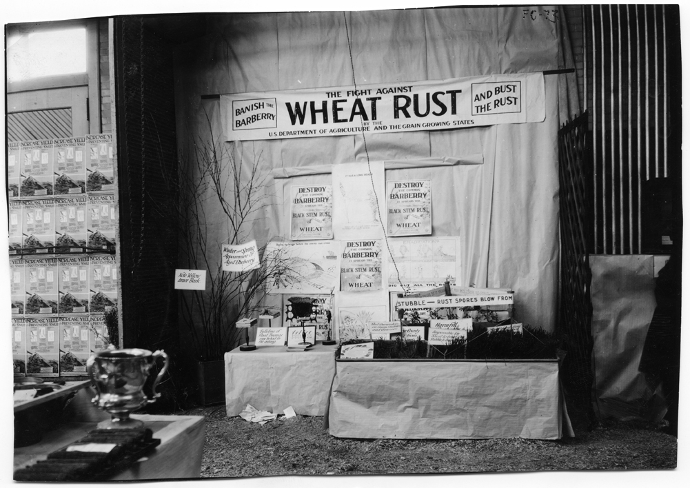 Exhibit about Wheat Rust during Farmers' Week