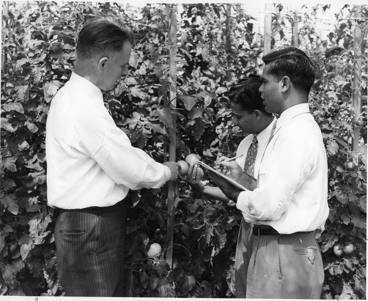 Students from India with professor, 1915
