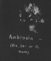 Omicron Nu cat footprint, 1926