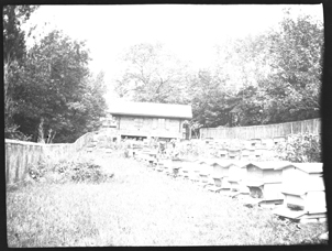 Beekeeping boxes (Frank M. Benton papers), circa 1880s