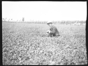 Man standing in a field (Frank M. Benton papers), circa 1880s