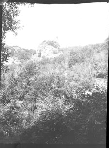 Mountain and Forest scene (Frank M. Benton papers), circa 1880s