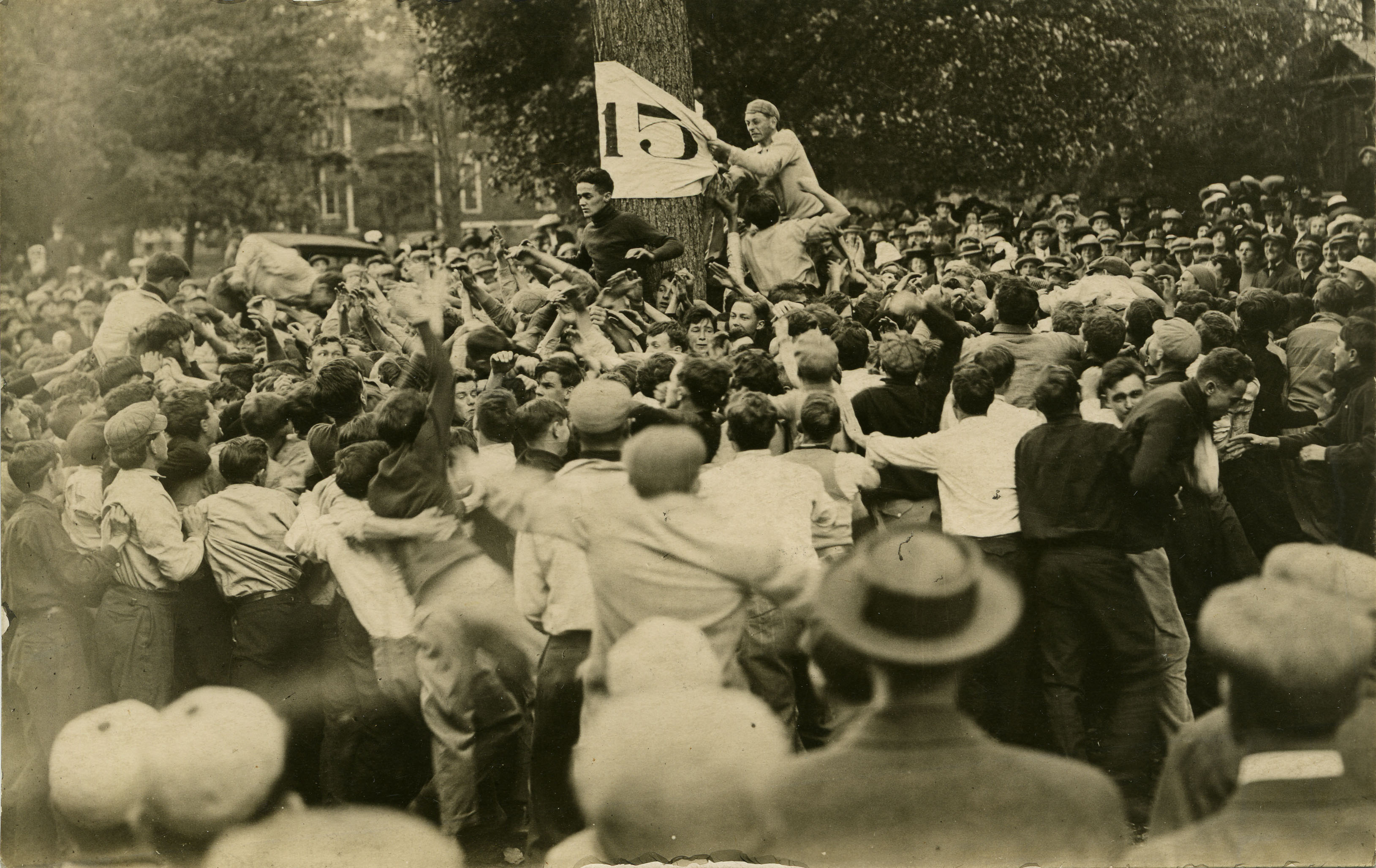 Freshman tears a "flag" from a tree during Class Rivalry, circa 1916