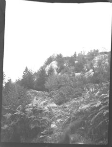 Mountain side (Frank M. Benton papers), circa 1880s