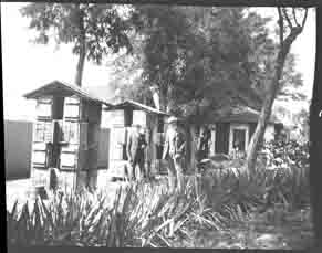 Men with Bee Hives (Frank M. Benton papers), circa 1880s