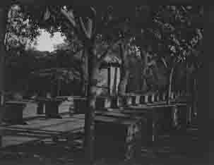 Rows of bee hive boxes (Frank M. Benton papers), circa 1880s