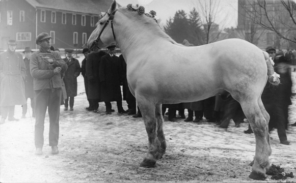 Horse and Handler, undated