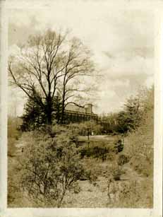 View of campus taken by Onn Mann Liang, circa 1925