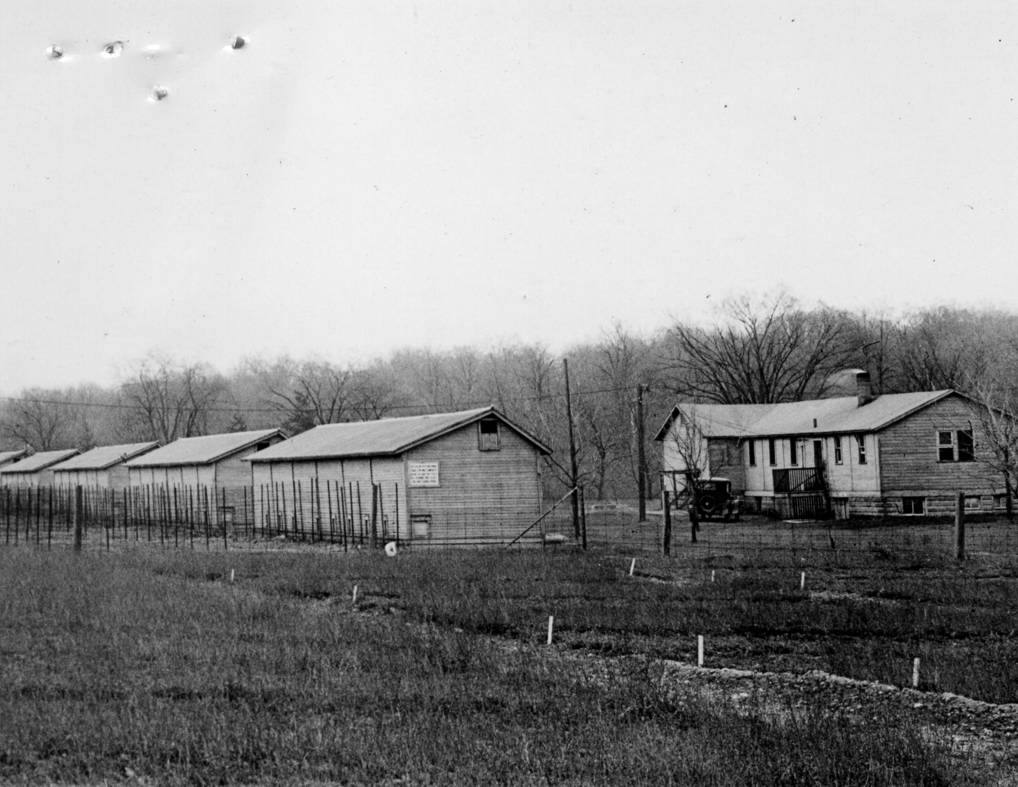 Poultry Building