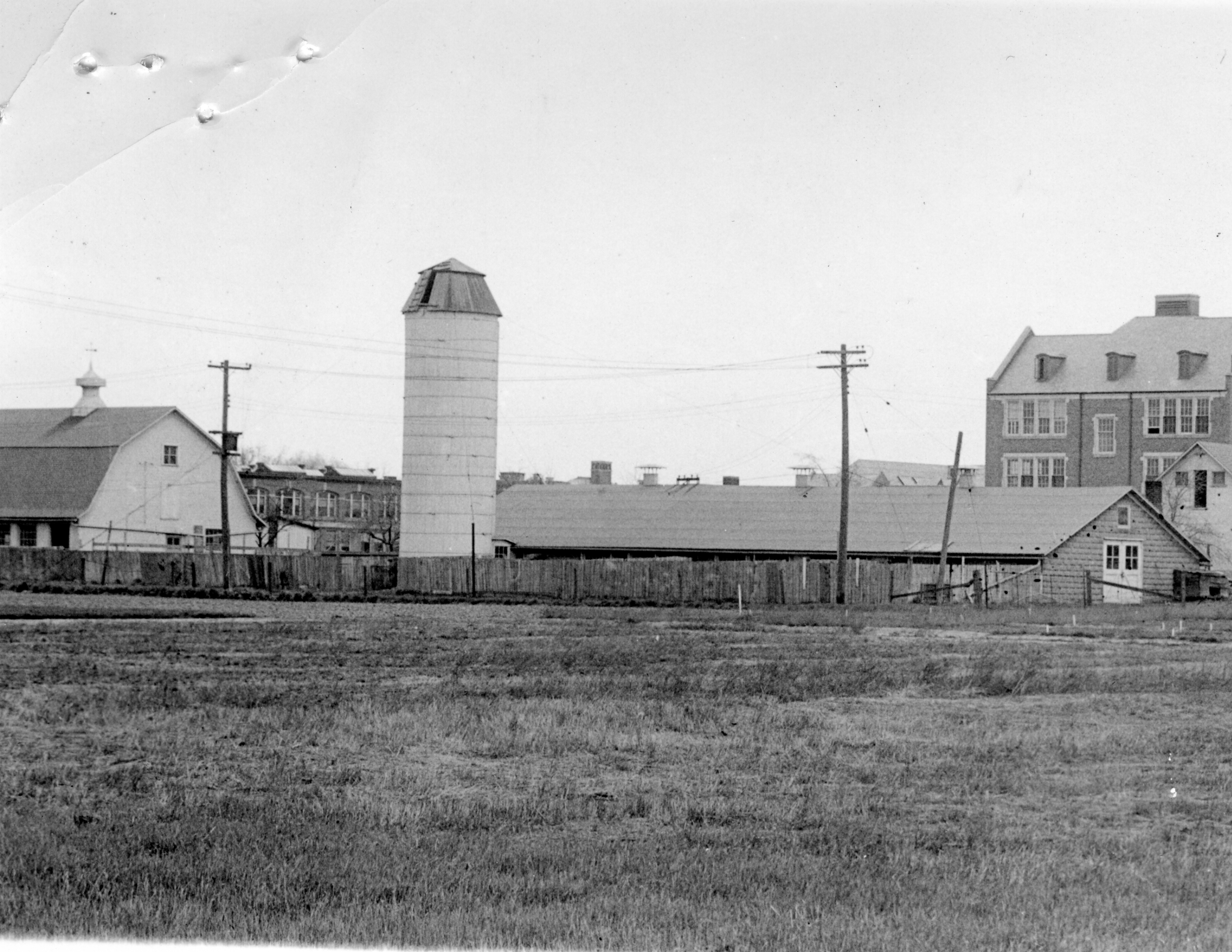 Animal Pathology Stables